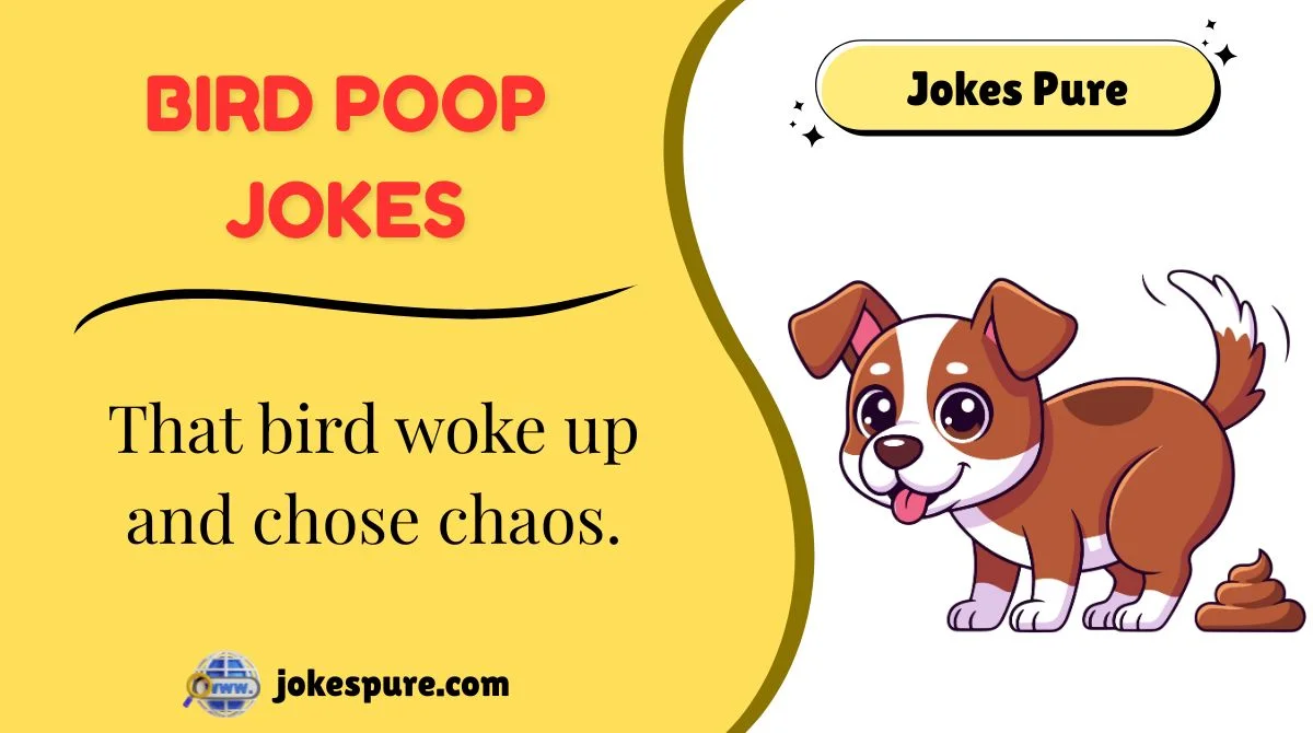 Bird Poop Jokes